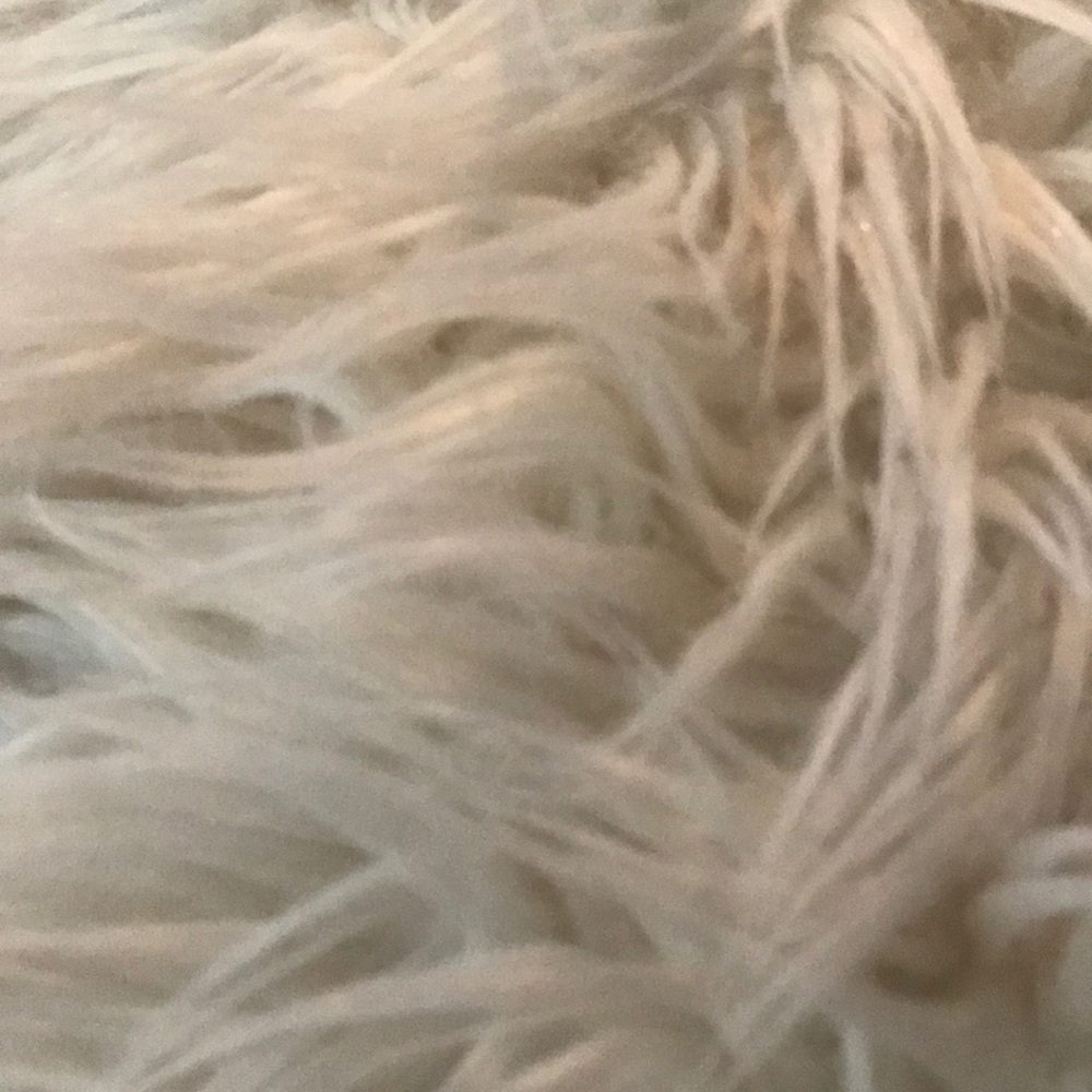 Meet your Posher, Chrissy